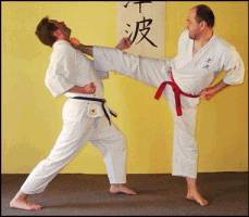 karate.jpg (8332 Byte)